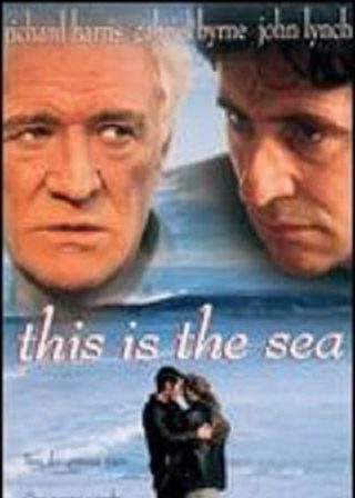 《這裏就是海洋》電影海報