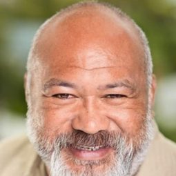 大衛·法恩 - Tongan Ninja演員 飾演Herman the Henchman