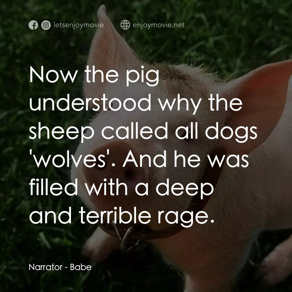 寶貝小豬嘜電影對白：Narrator:  Now the pig understood why the sheep called all dogs 'wolves'. And he 