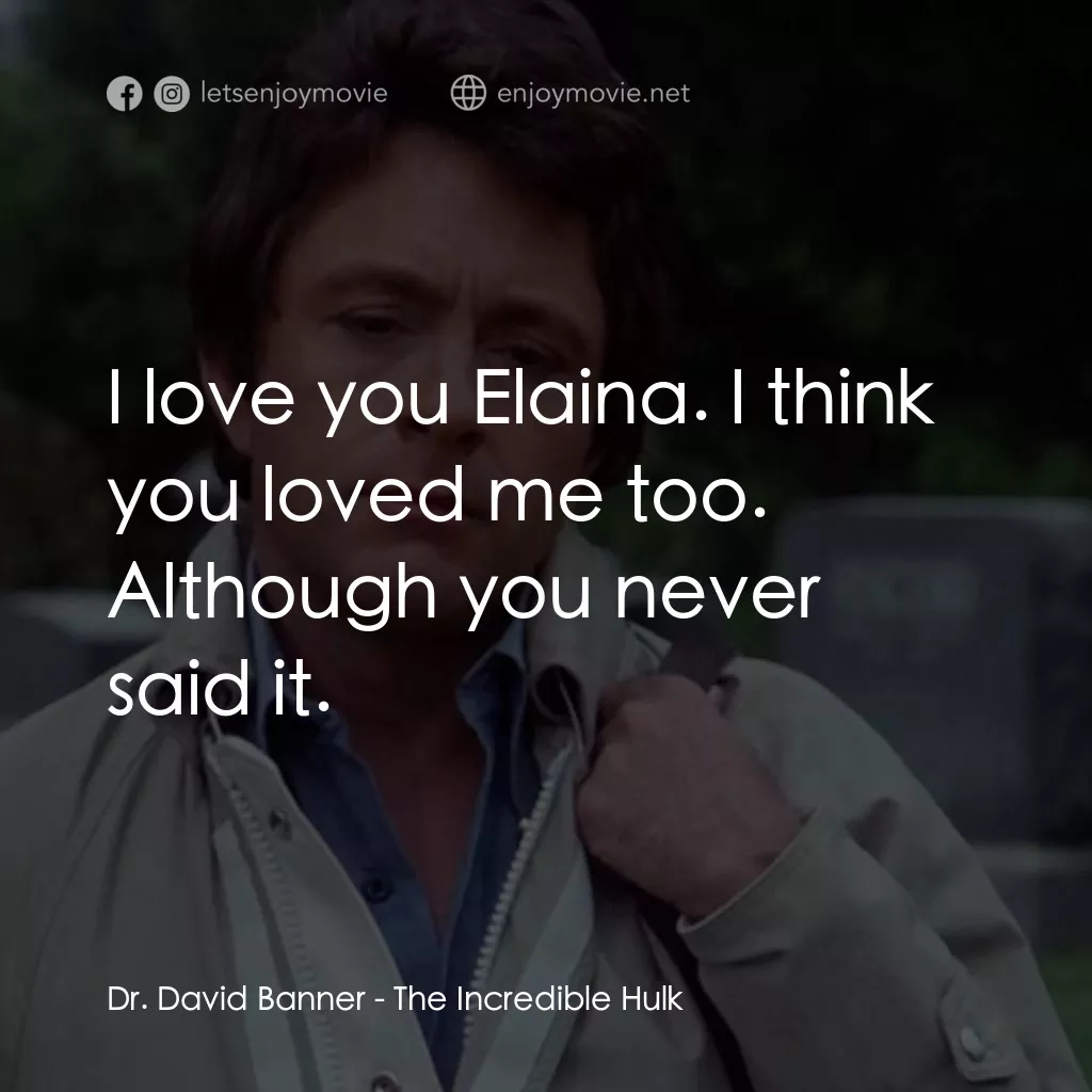 《浩克：英雄將起》經典台詞：Dr. David Banner: I love you Elaina. I think you l ...