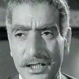 Ibrahim ElShamy - 波蘭式瘋格演員 飾演Sheriff