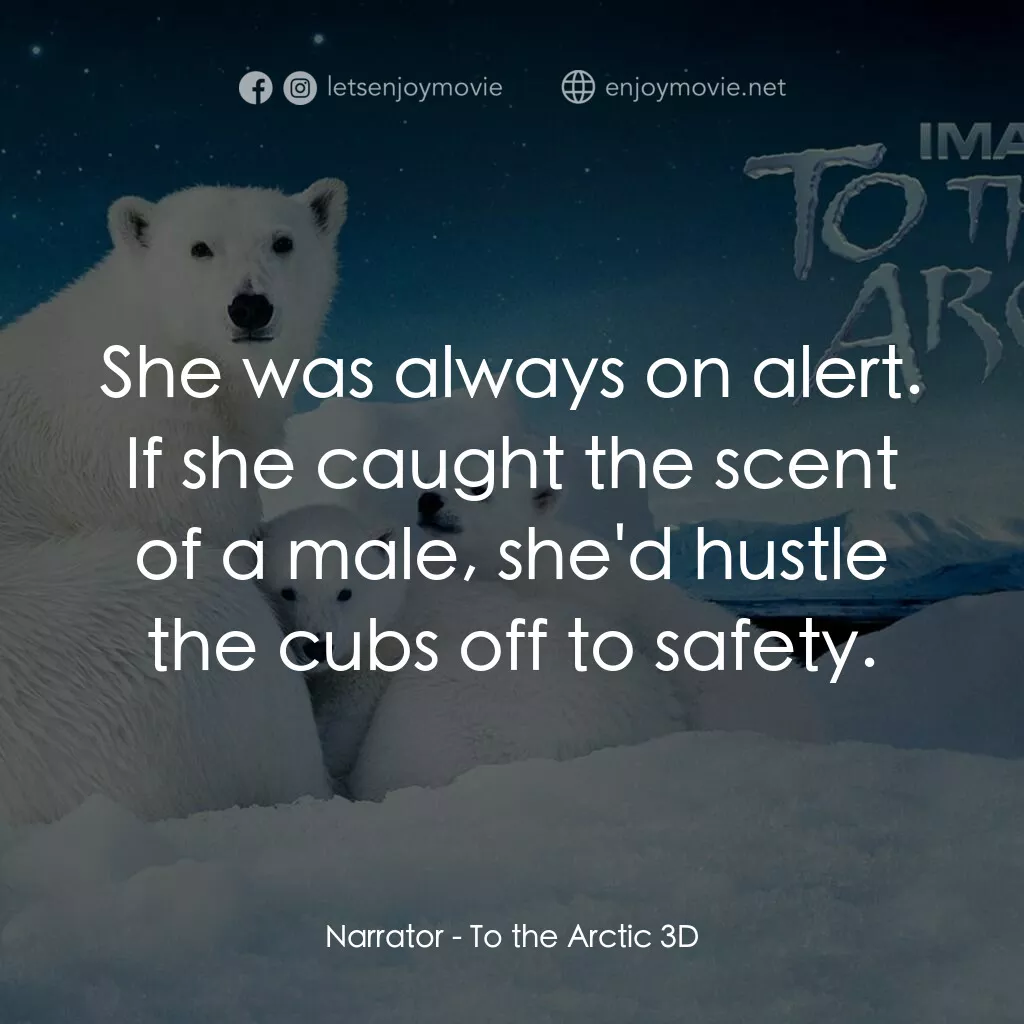 到北極去電影對白：Narrator:  She was always on alert. If she caught the scent of a male, she'd hust
