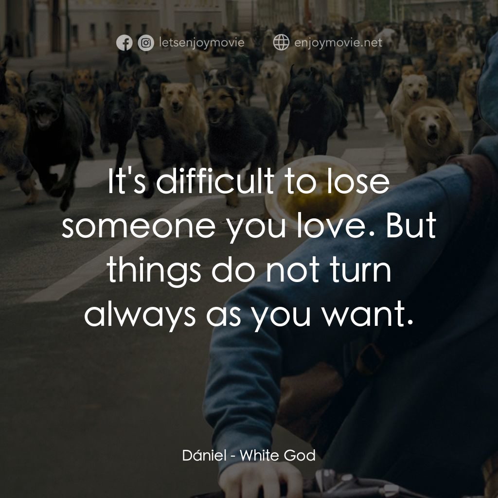 狗眼看人間電影對白：Dániel: It's difficult to lose someone you love. But things do not turn always as