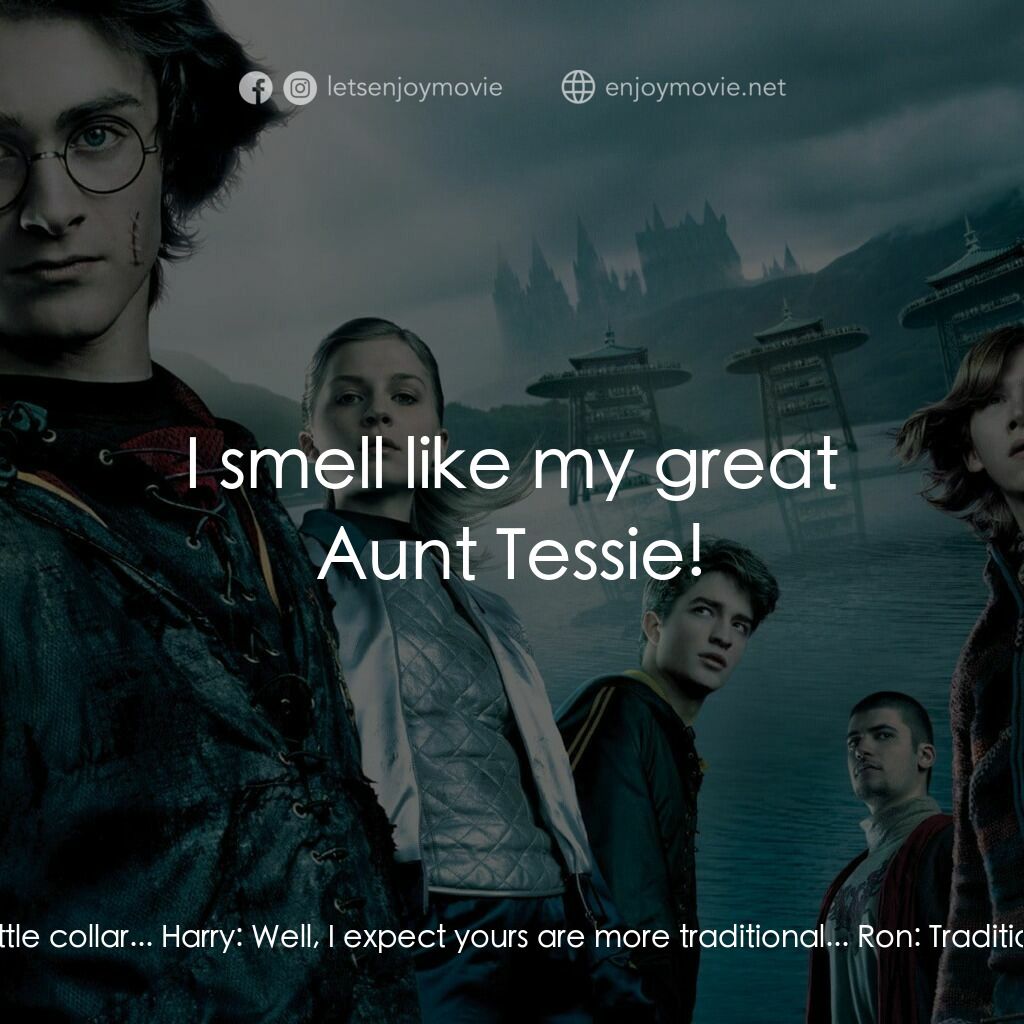 哈利波特：火盃的考驗電影對白：Ron:  What are those? Harry:  My dress robes... Ron:  Well, those're all right! N