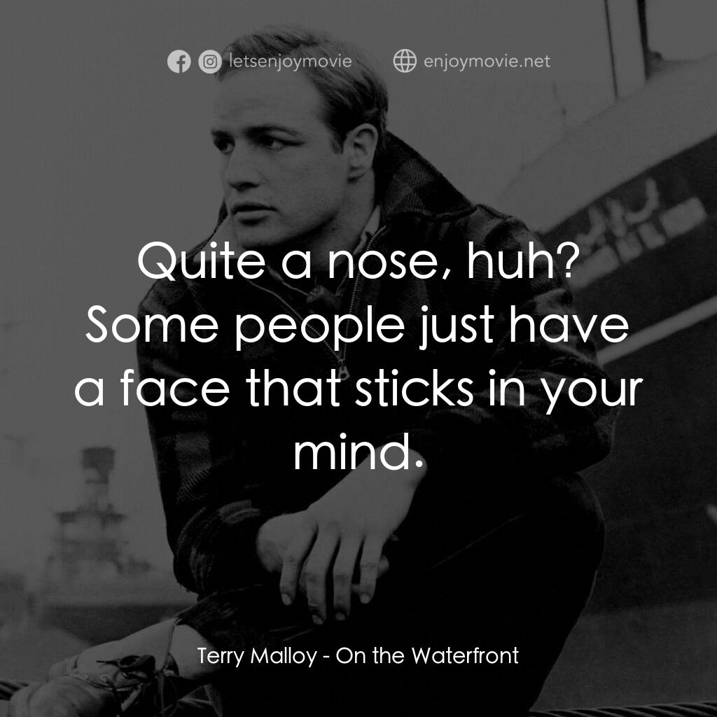 碼頭風雲電影對白：Terry Malloy:  Quite a nose, huh? Some people just have a face that sticks in you