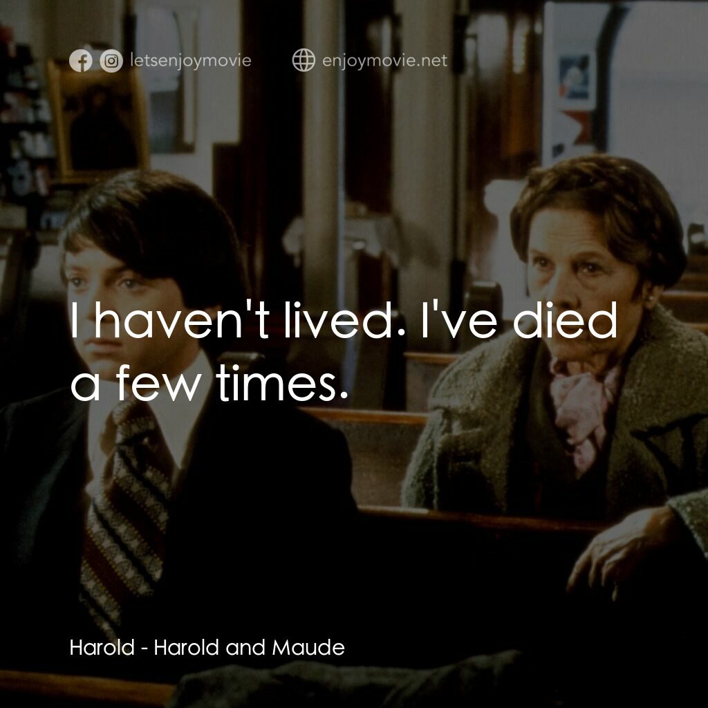哈洛與茂德電影對白：Harold:  I haven't lived. I've died a few times.