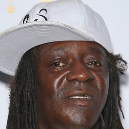 Flavor Flav 飾演 Self